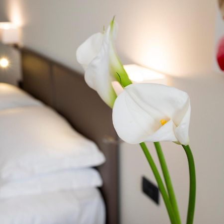 Hotel Plaza San Martino Siccomario Ngoại thất bức ảnh