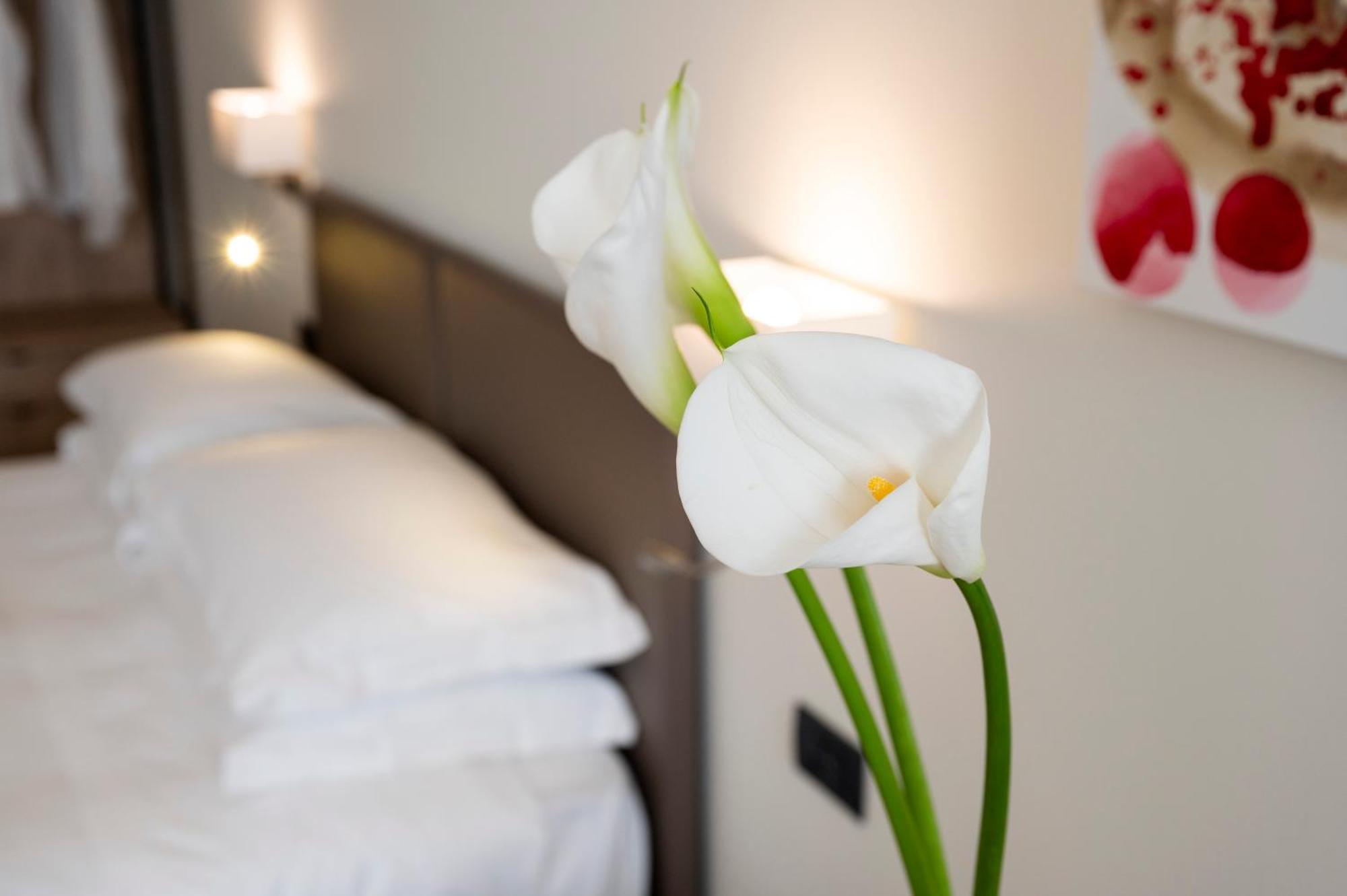 Hotel Plaza San Martino Siccomario Ngoại thất bức ảnh